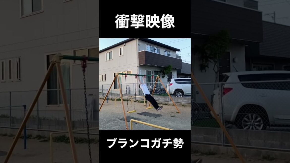 『衝撃映像』ブランコガチ勢現る❗️