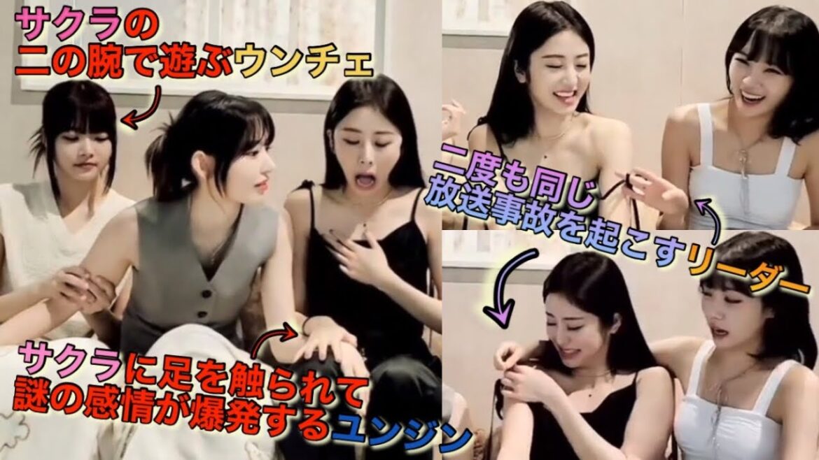 【LE SSERAFIM】ルセラフィムのライブ配信がちょっとしたカオス状態に⁉︎【Weverse Live】 【LE SSERAFIM】ルセラフィムのライブ配信がちょっとしたカオス状態に⁉︎【Weverse Live】