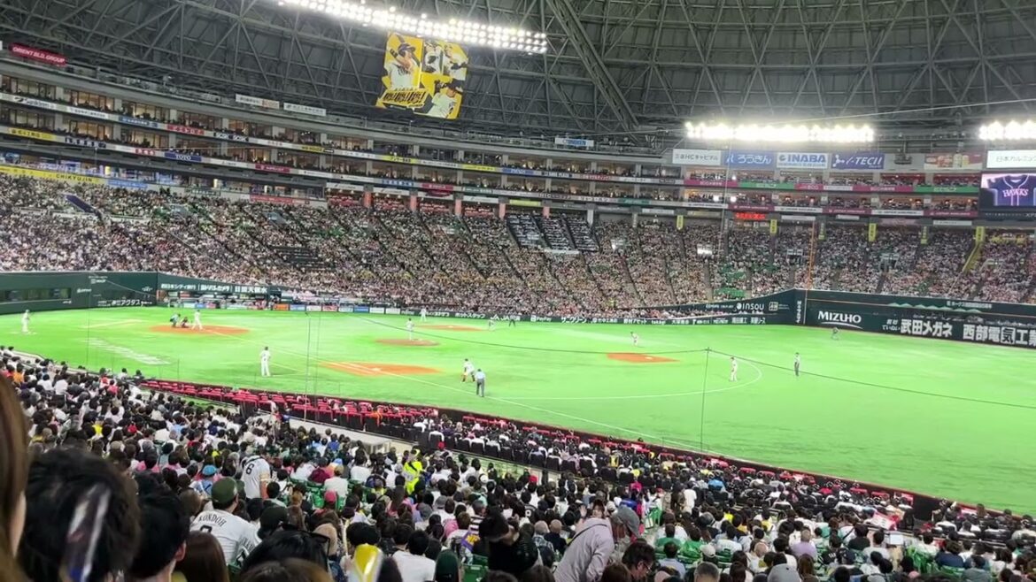 2023 ソフトバンク 三森大貴 応援歌