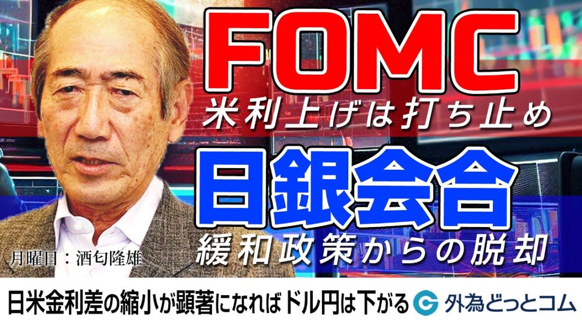 FOMCは利上げ打ち止め、日銀は緩和政策からの脱却　日米金利差の縮小が顕著になればドル円は下がる　6月12日（月）酒匂隆雄