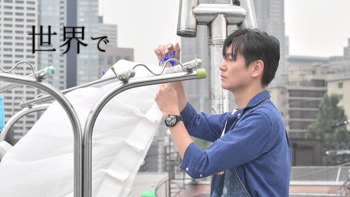 TBS系 木曜ドラマ劇場『同窓生～人は、三度、恋をする～』 柴門ふみ原作 主題歌　メレンゲ「楽園」（リリックver.）