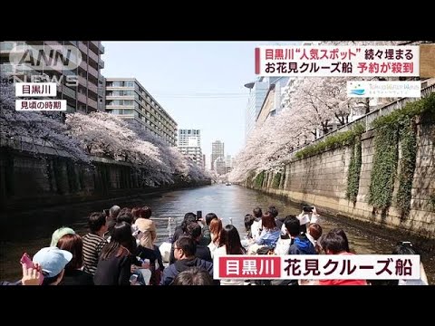 サクラ開花予想 平年より1週間早く 人気スポットは早くも“争奪戦”(2023年3月3日) サクラ開花予想 平年より1週間早く 人気スポットは早くも“争奪戦”(2023年3月3日)