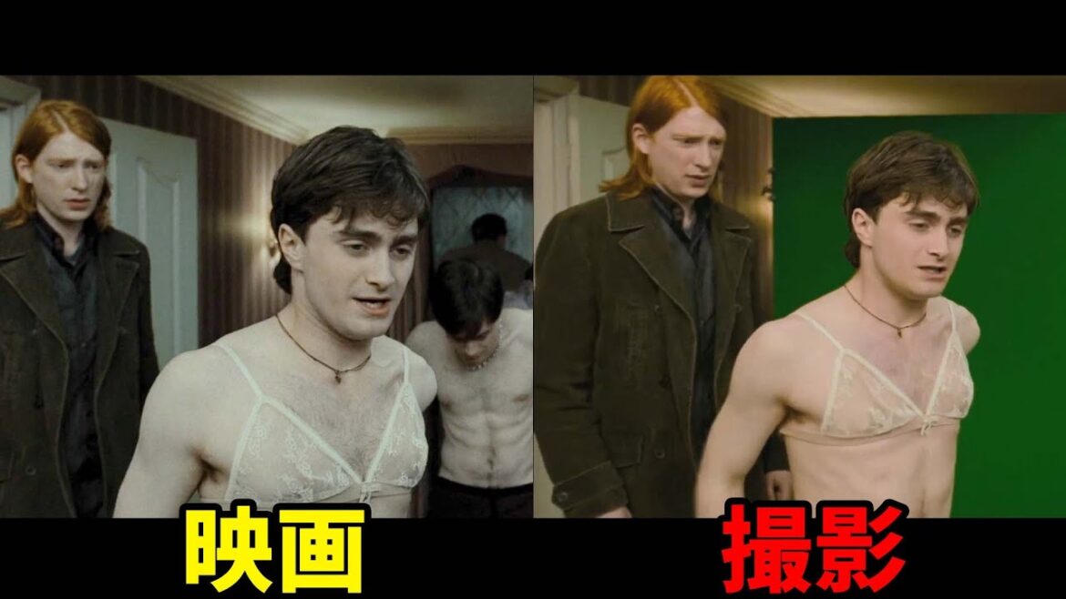 未公開シーン大公開！ハリーポッターと死の秘宝小ネタ集（制作秘話、アドリブ、うっかりミスなど）