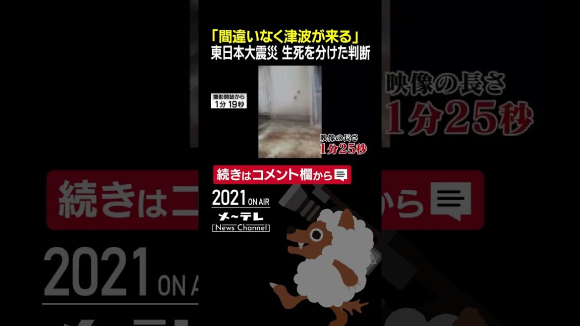 「間違いなく津波が来る」#東日本大震災で生死を分けた判断　#shorts