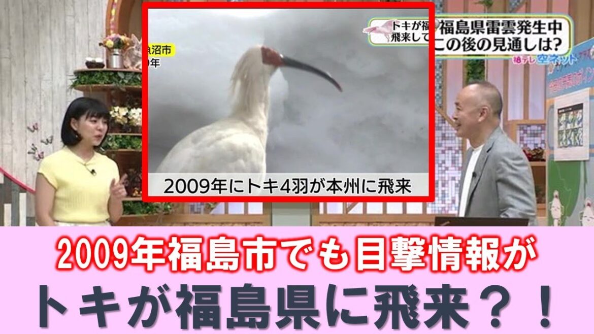【トキが福島県に飛来？】空ネット（７月２０日放送）