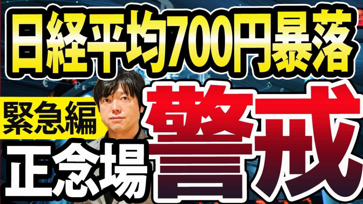 【今後の戦略】日経平均一時700円暴落！日本株、ここが正念場の理由