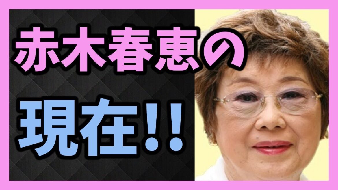 【女優】 赤木春恵の現在!!