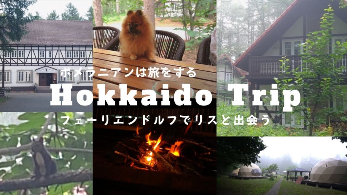 【旅Vlog】北海道の森の中でポメラニアンがリスに出会った🐿２０世紀ドイツの村フェーリエンドルフ