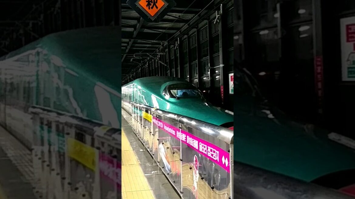 【盛岡駅 Morioka Sta.】E6+H5系により共鳴するブレーキサウンド Brake sound that resonates with the E6 + H5 series #japan