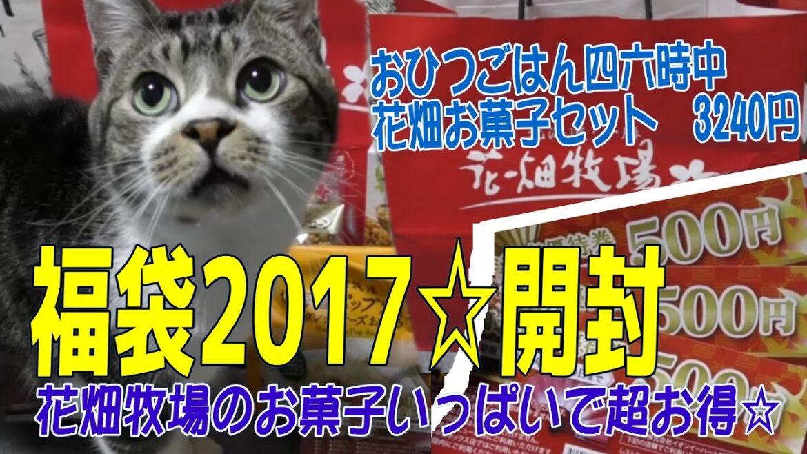 【福袋2017開封☆おひつごはん四六時中】花畑牧場お菓子セットの福袋がお得すぎた！お菓子福袋・ネタバレ・超お得・激安