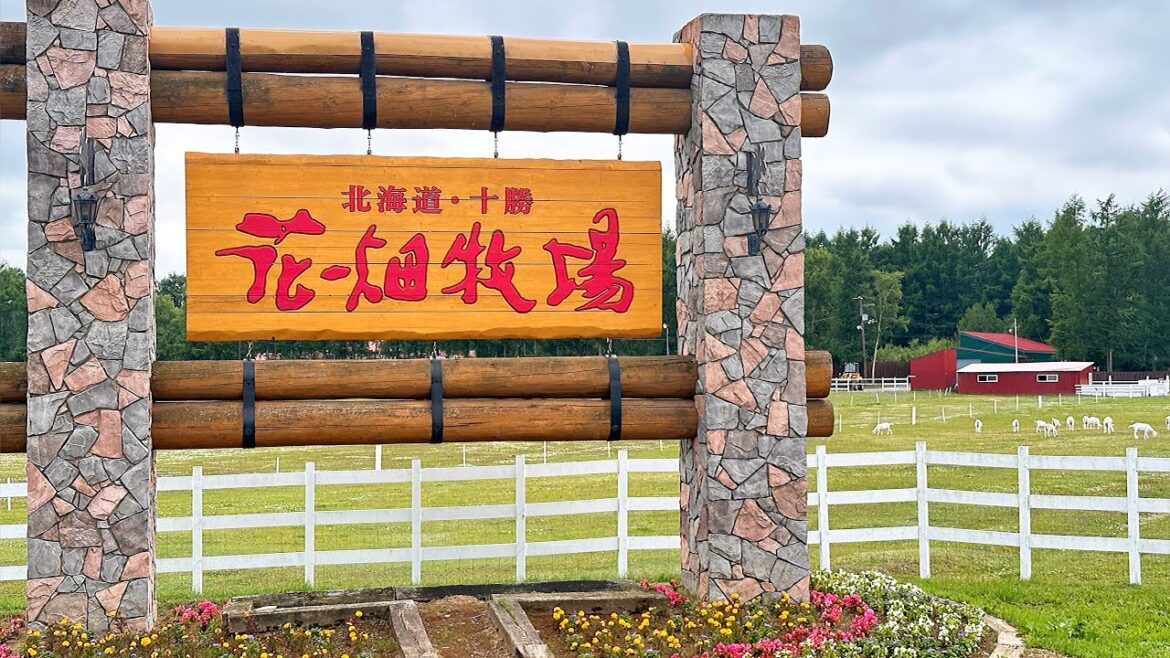 【花畑牧場】北海道十勝｜拉克雷特奶酪🫕｜動物🐐 23.07.02