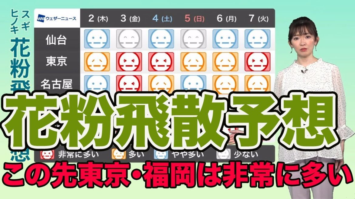 【花粉飛散予想】 3月スタート　東京・福岡はこの先も非常に多い予想