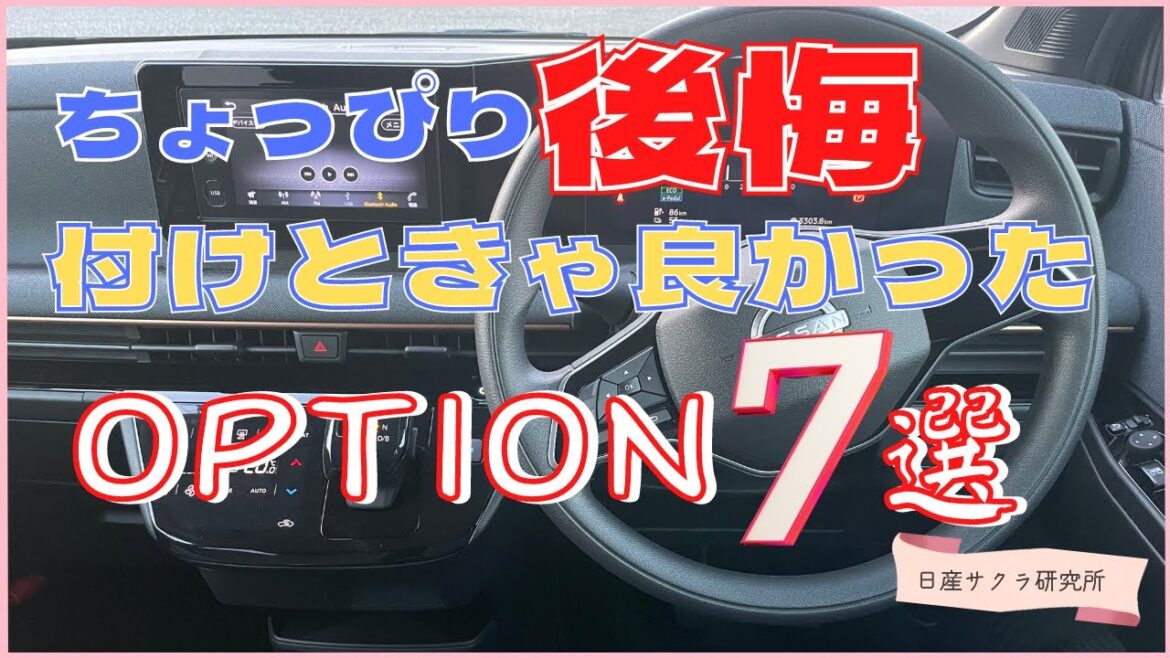 ちょっぴり後悔【日産サクラ】4ヶ月乗って感じる「付けときゃ良かった」オプション７選
