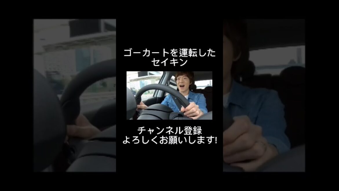 ゴーカートが上手すぎるセイキン #hikakin #seikin #ヒカキン #セイキン #事故 #救急車 #運転 #セイキンマニア #ヒカキンマニア #shorts #short