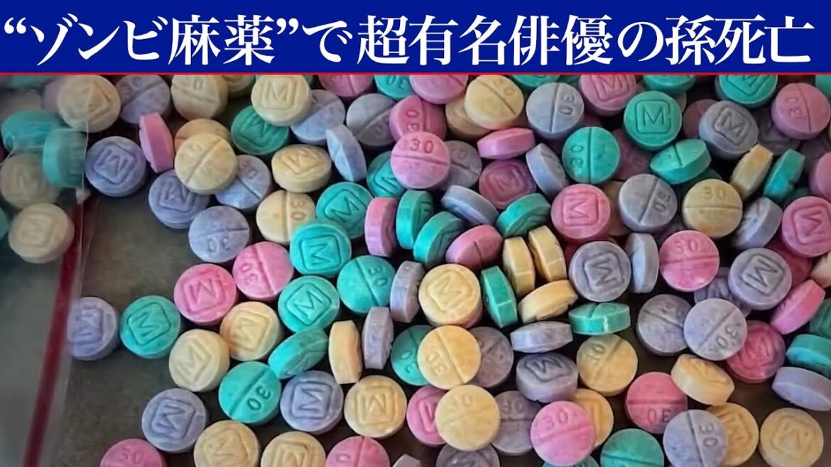 ゾンビ麻薬・フェンタニルで、アカデミー俳優の孫が死亡