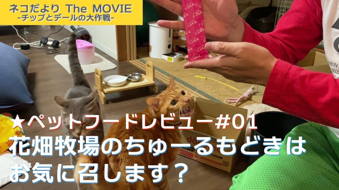 ネコだより The MOVIE/20230705 「★ペットフードレビュー#01 花畑牧場のちゅ～るもどきはお気に召します？」