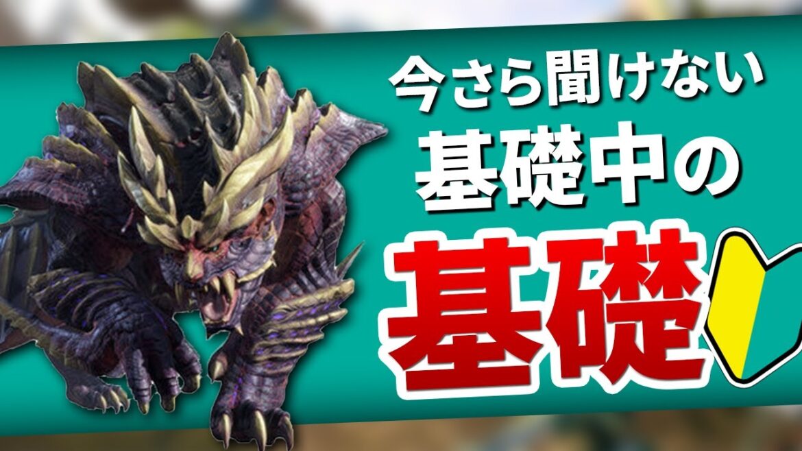 ライズからモンハンを始める方向け 超初心者講座