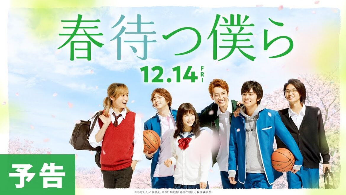映画『春待つ僕ら』予告【HD】2018年12月14日（金）公開