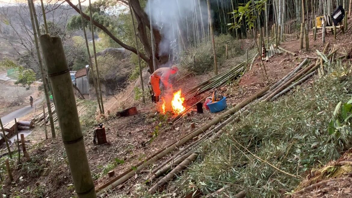 焚き火で自作の竹箒を使ってみた。 Trying to use my bamboo  broom at the bonfire.