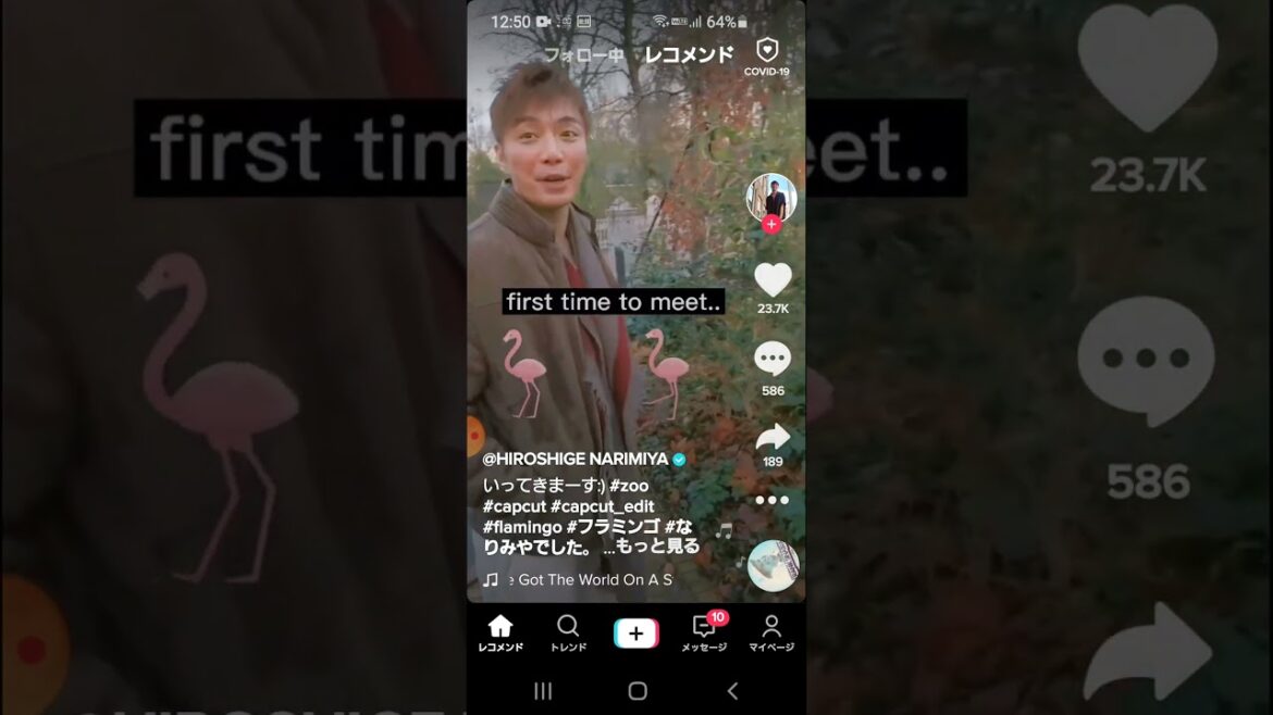 相棒に出てたカイトくんの日常　成宮寛貴