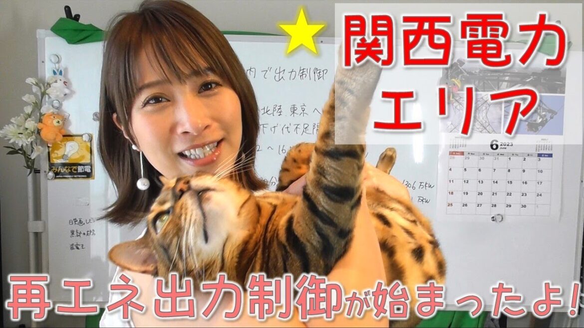 関西電力エリアでも再エネ出力制御が開始☀💦