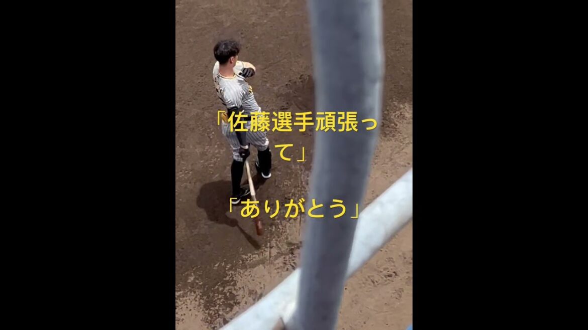 6月25日　阪神タイガース　佐藤輝明