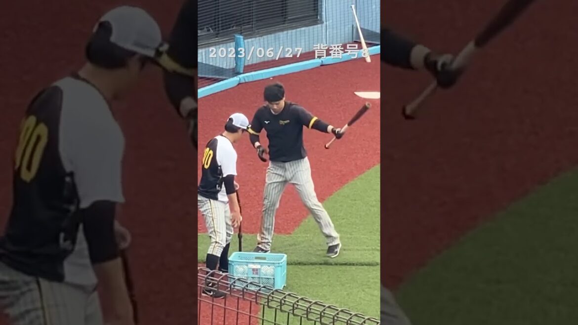 2023/06/27 背番号8 佐藤輝明