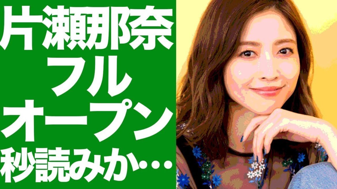 片瀬那奈がフルオープン写真集出版を決断か！？バストトップ解禁なら〇億円規模と話題に！！