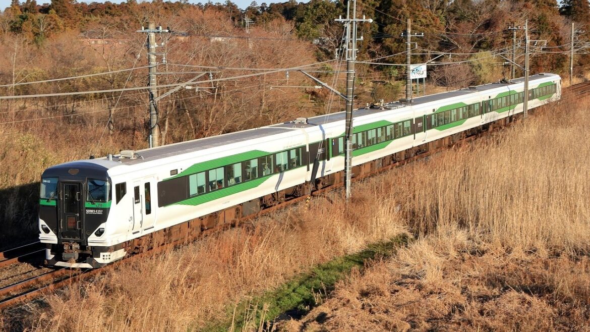 【4K】E257系5500番台 かつうらひな祭り号 外房線八積～茂原 2023/2/26