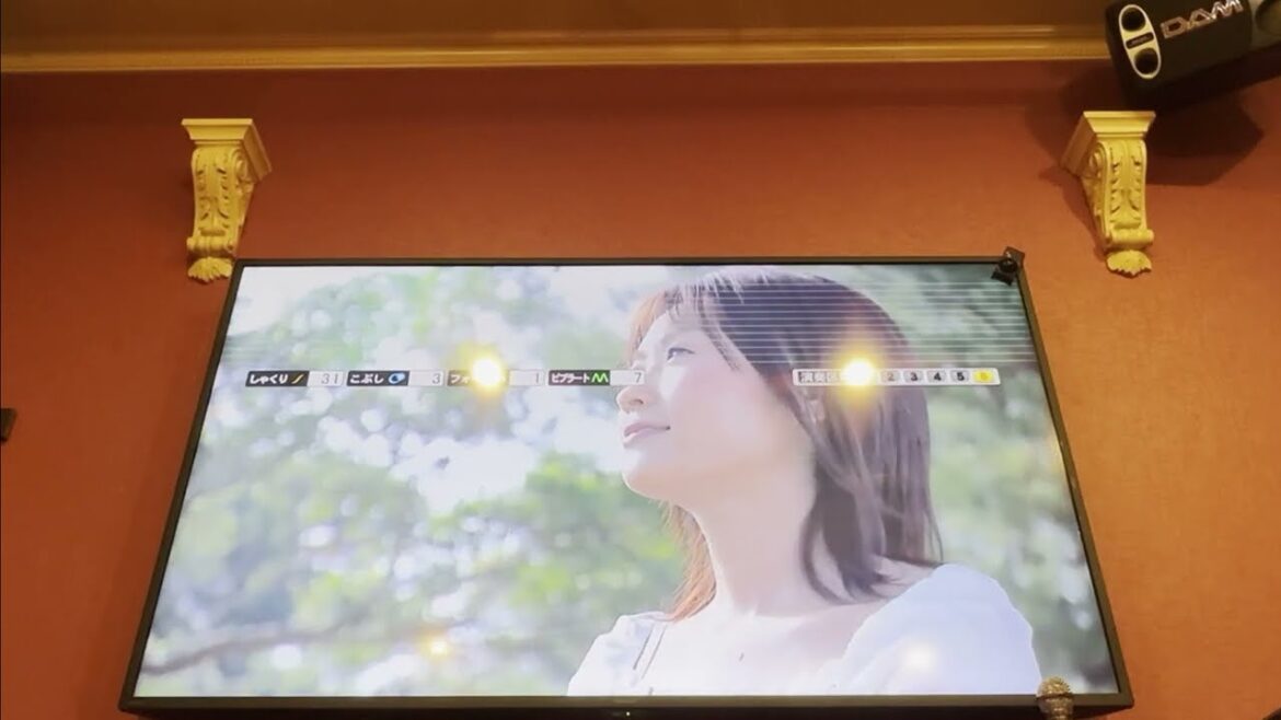 中音域男子がゲド戦記の「テルーの唄」歌ってみた【光熱費】