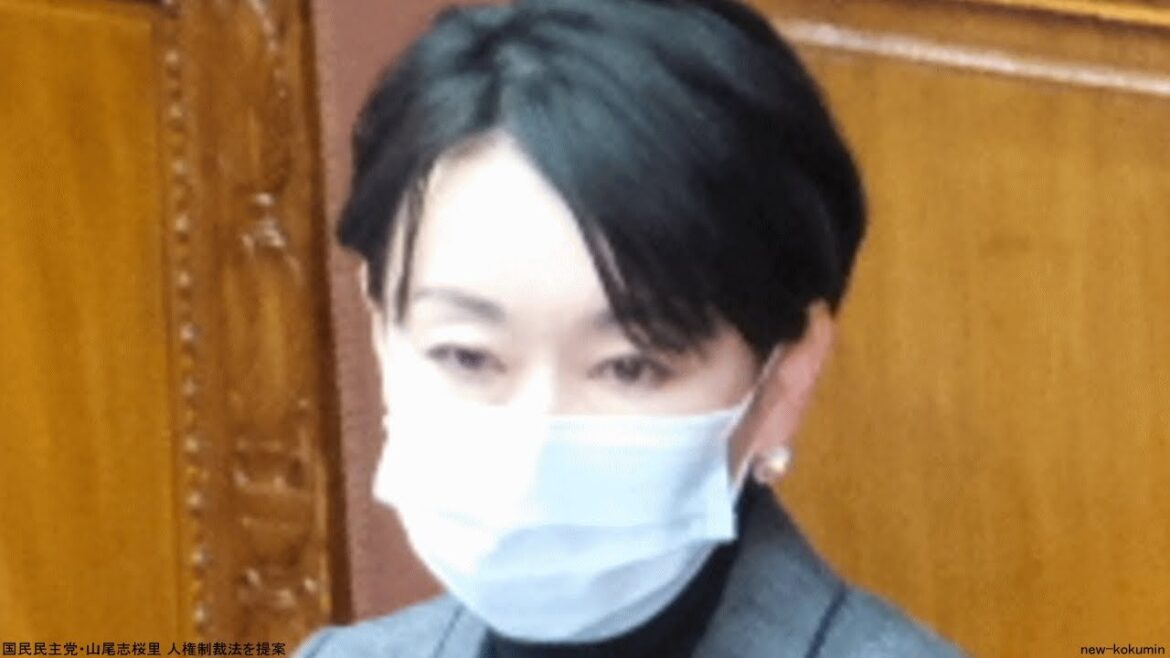 国民民主党・山尾志桜里 人権制裁法を提案