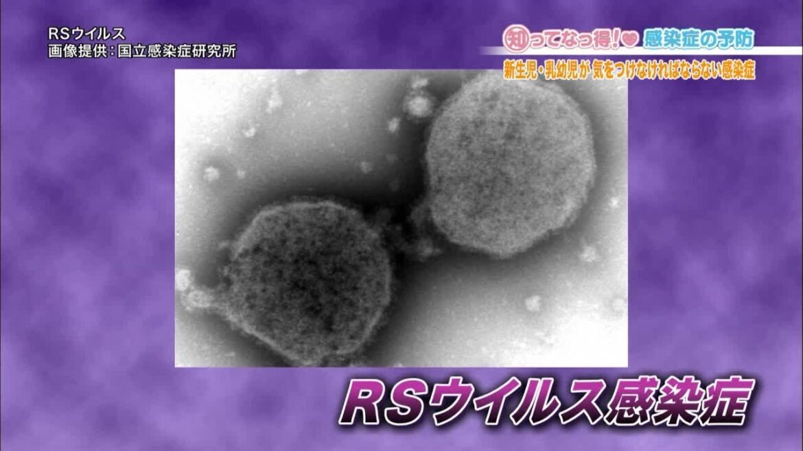 【赤ちゃん要注意！】RSウイルス感染症「知ってなっ得！感染症の予防＃４その４」