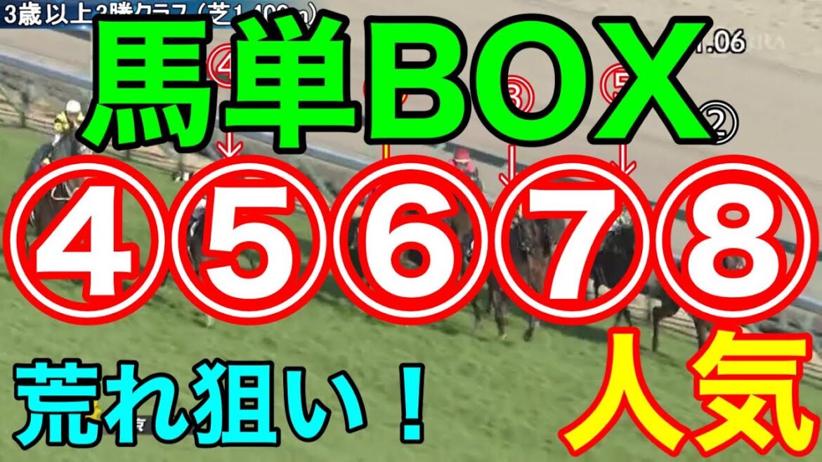 【競馬検証】荒れ狙い！④⑤⑥⑦⑧人気の馬単BOXを検証！