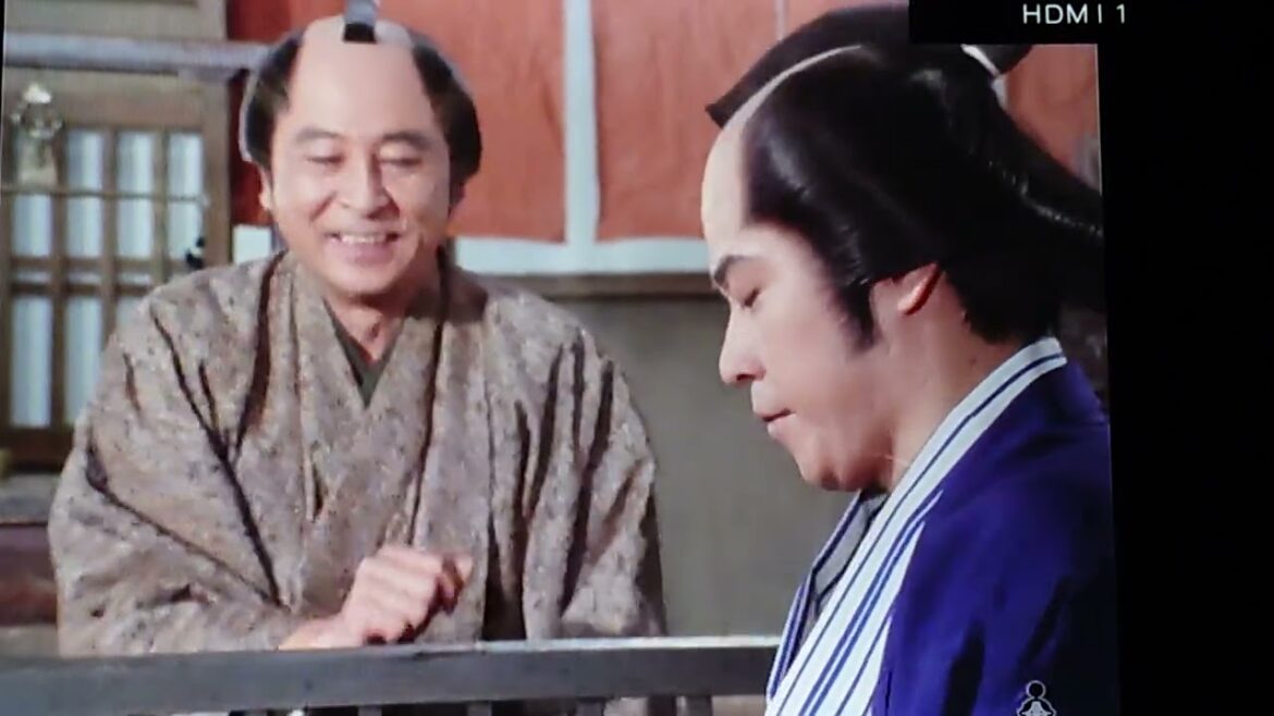 銭形平次　十手の道　風間杜夫、中村錦之助、中村橋之助、岸田今日子､左とん平、宮﨑美子、美保純、木場勝己、森川昇太、井上博一