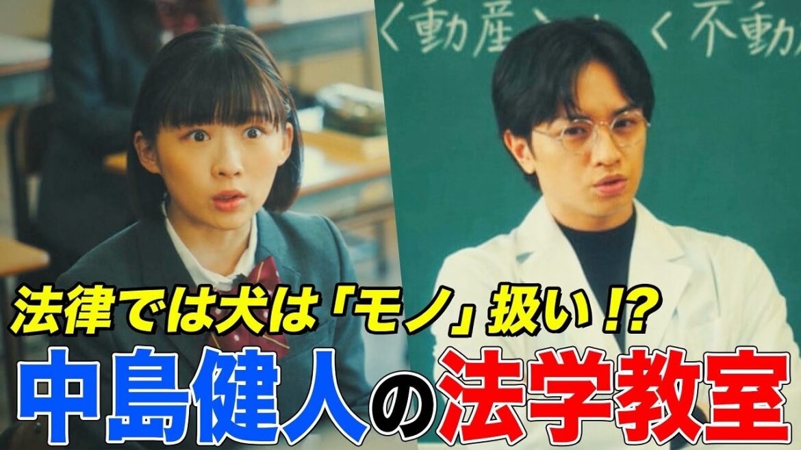 “犬顔”こと中島健人が伊藤沙莉に法律解説！執行官は犬も子どもも差し押さえるって本当!?ファーストサマーウイカ激怒の理由とは【ドラマ「シッコウ!!」第３話より】