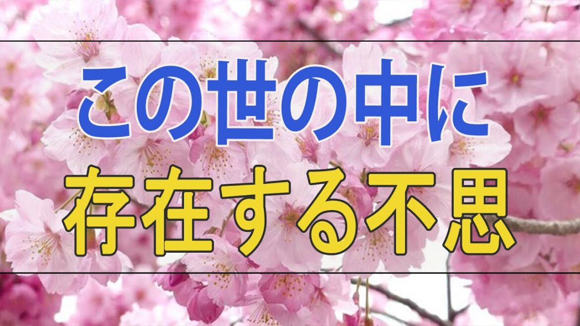 武田鉄矢 今朝の三枚おろし   この世の中に存在する不思議な贈りもの