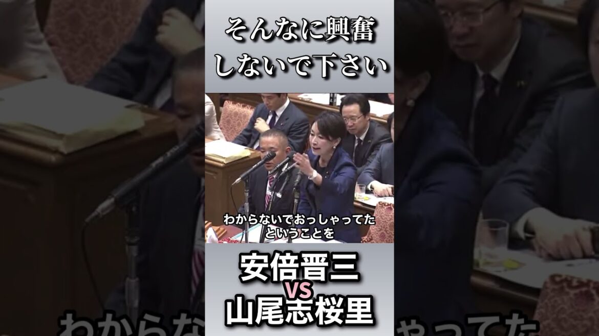 【そんなに興奮しないで下さい】安倍総理vs山尾志桜里／待機児童問題について