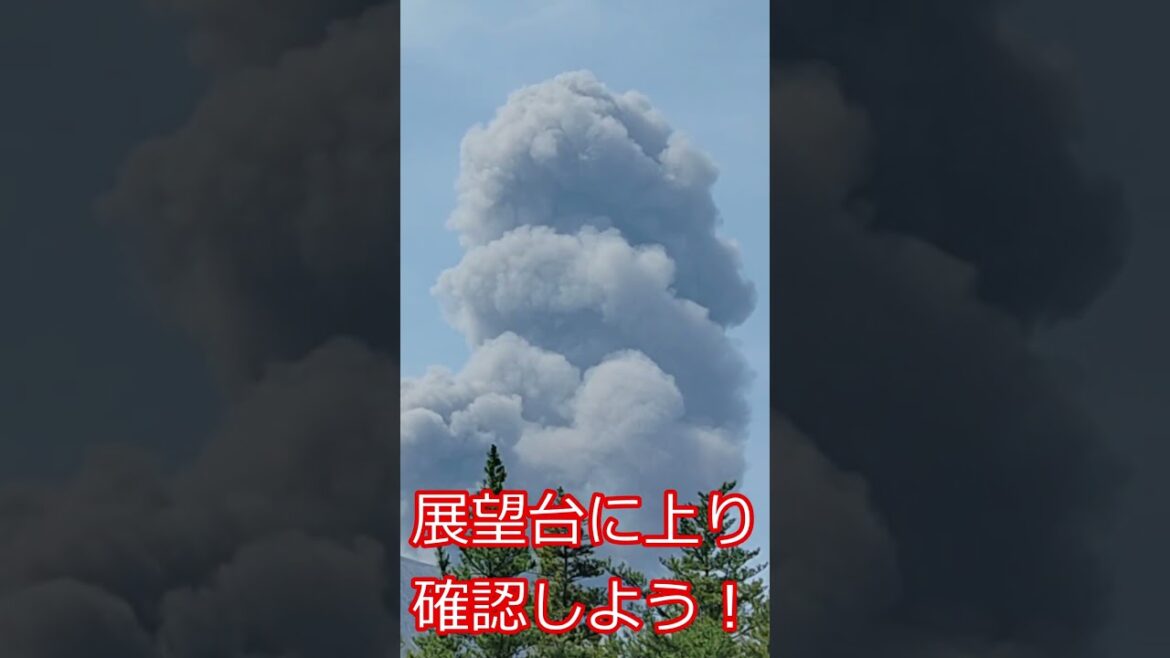【桜島観光で突然噴火！】避難したが笑われた！クソ！ #shorts