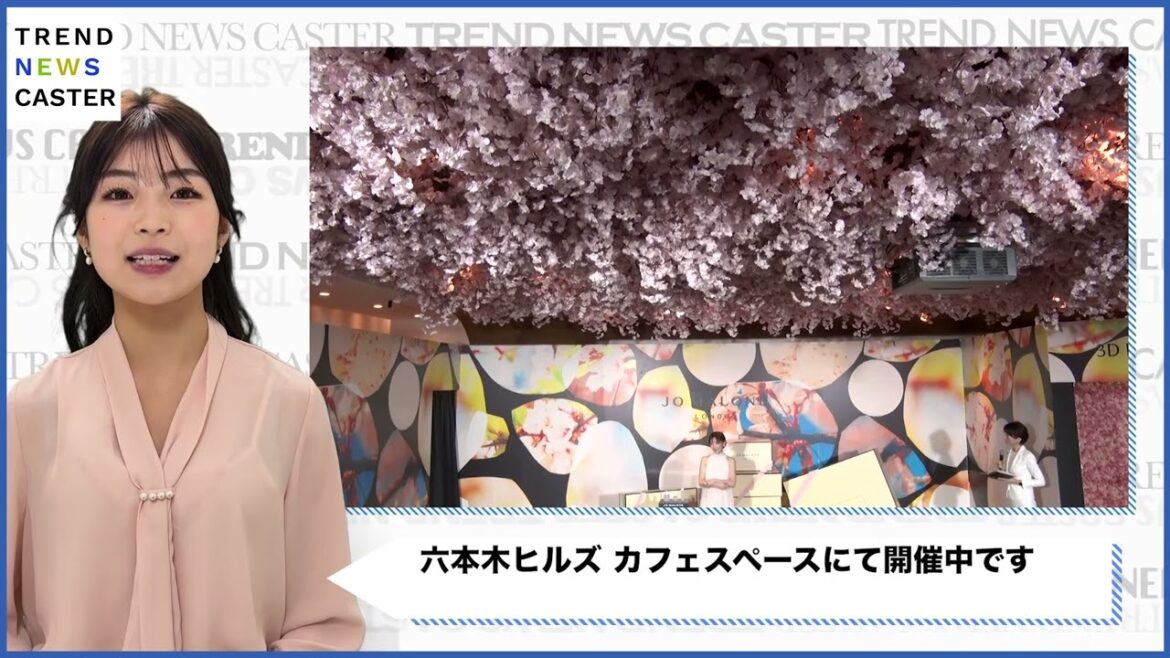 倉科カナがオープニング内覧会に登壇「Jo Malone London “Ohanami Celebration”」