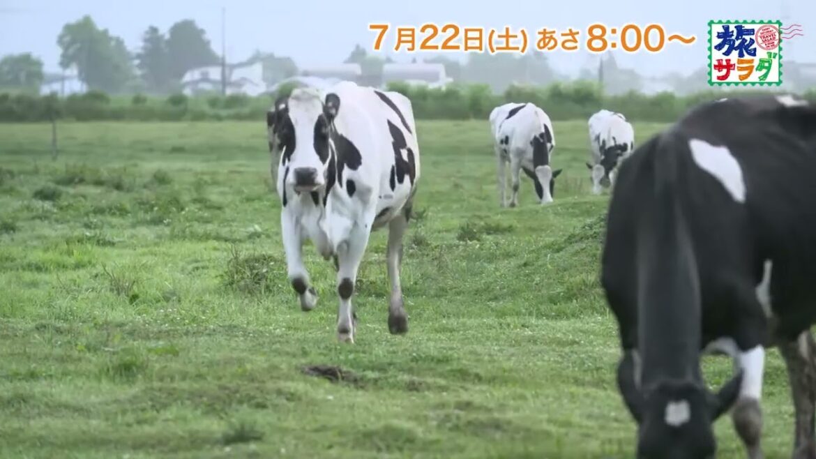 ゲストの旅は早見あかり！ロコレコは山之内すず「旅サラダ」7月22日（土）放送