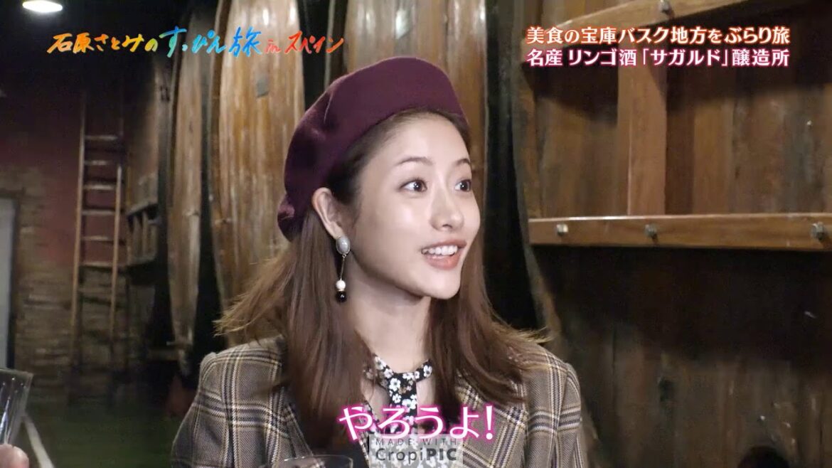 PETRITEGI TV JAPAN