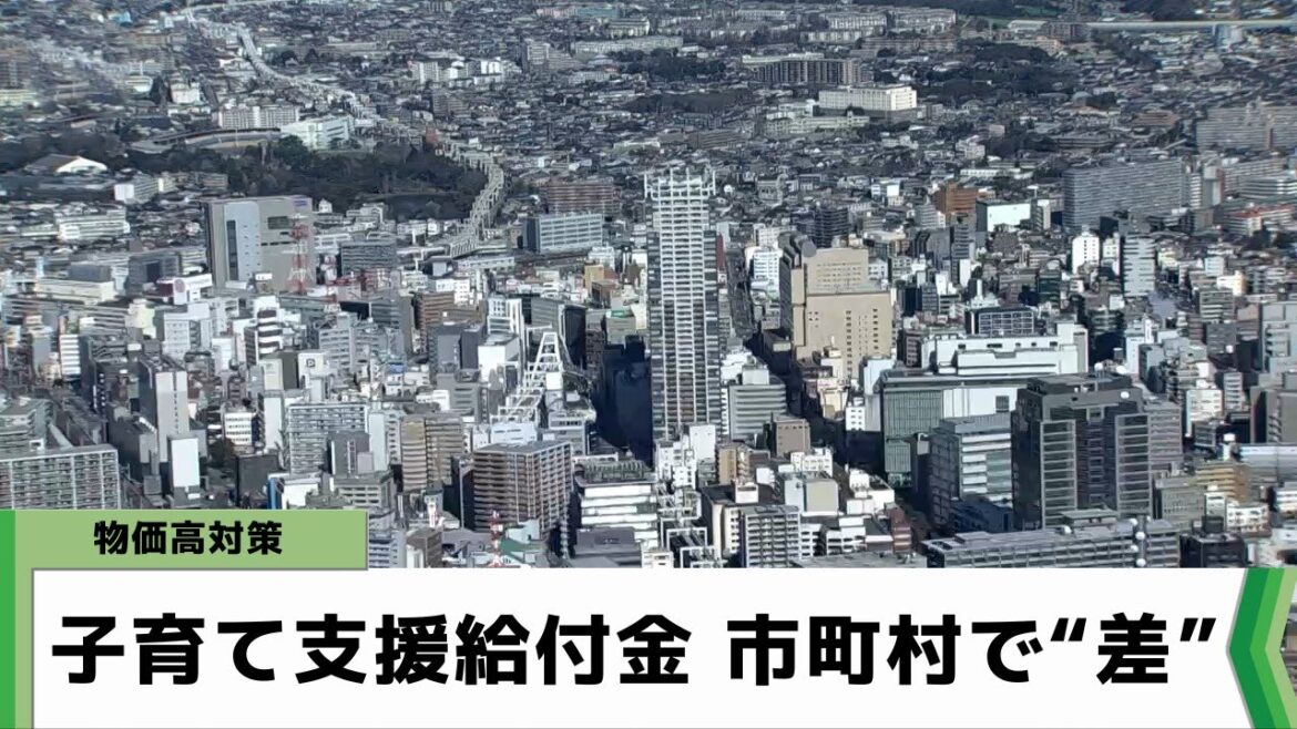 物価高対策 子育て支援給付金 市町村で“差”　千葉県（2023.06.15放送）