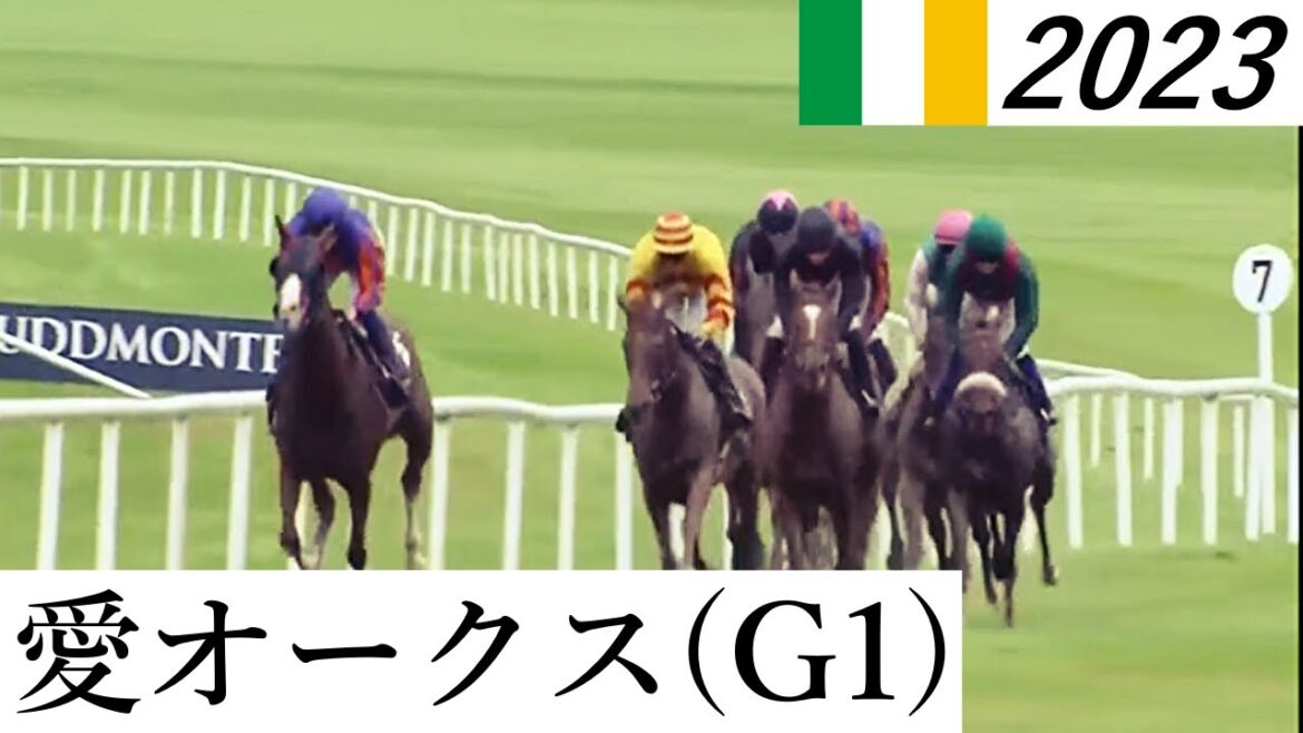 【競馬】愛オークス 2023 結果（セーブザラストダンス出走）