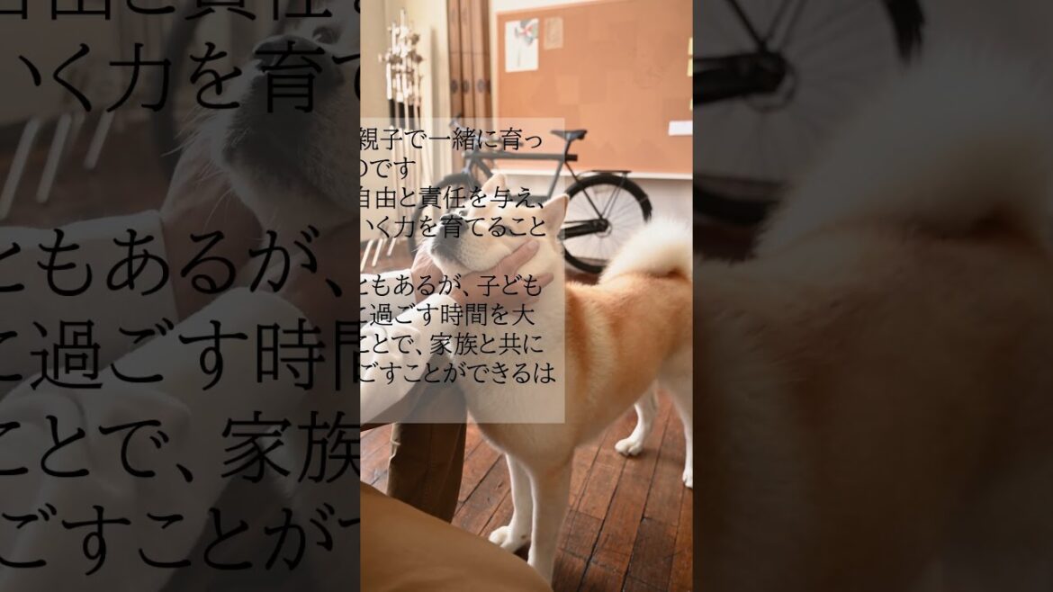 私のKOTONOHA『中村アンさんの名言』
