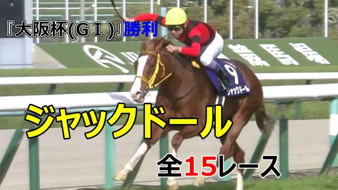 ジャックドール(牡5)「2歳新馬」~『安田記念』全15レース ジャックドール(牡5)「2歳新馬」~『安田記念』全15レース