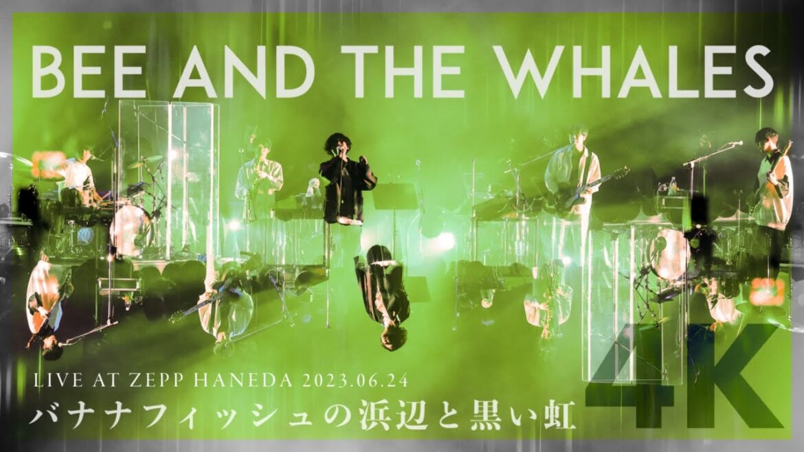 Galileo Galilei 『BaTW』Tourより「バナナフィッシュの浜辺と黒い虹」(2023.06.24 at Zepp Haneda)