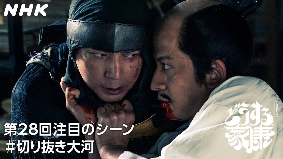 【信長と家康】2人は互いに何を思い、思われていたのか…| 大河ドラマ「どうする家康」| NHK 【信長と家康】2人は互いに何を思い、思われていたのか…| 大河ドラマ「どうする家康」| NHK