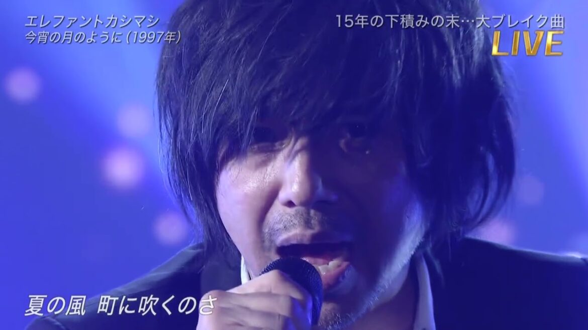 宮本浩次 - HIROJI MIYAMOTO - コレクション