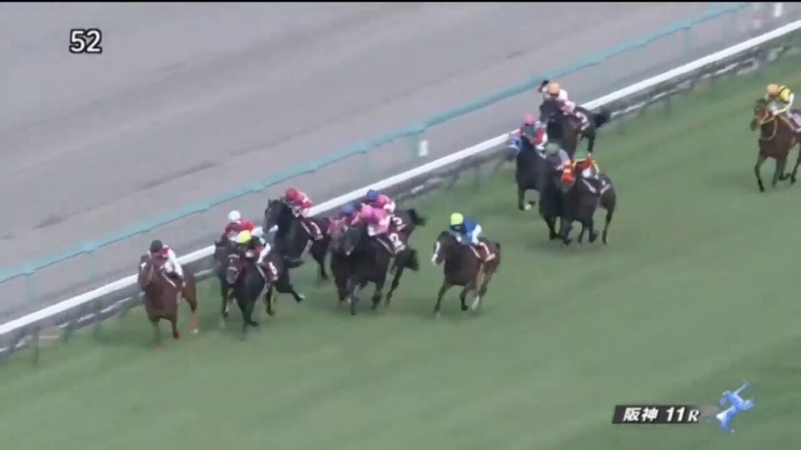 第33回【セントウルステークス】タワーオブロンドン