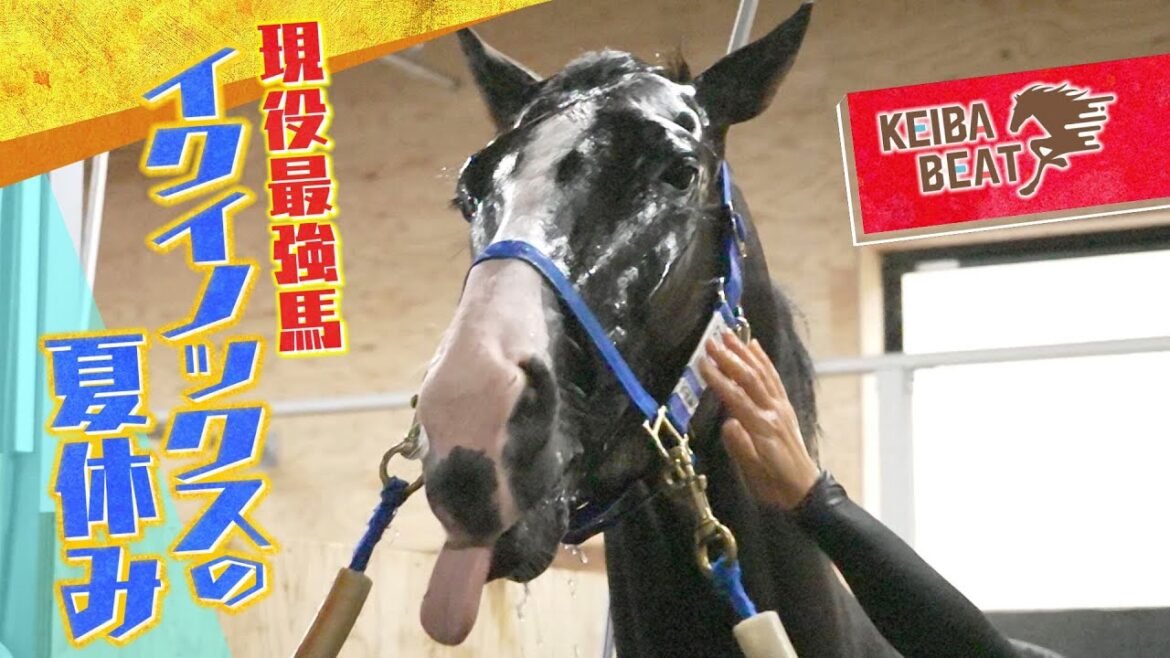 【お宝映像満載】イクイノックスの夏休み ～ノーザンファーム天栄を直撃取材～ ＜競馬BEAT・特別企画＞